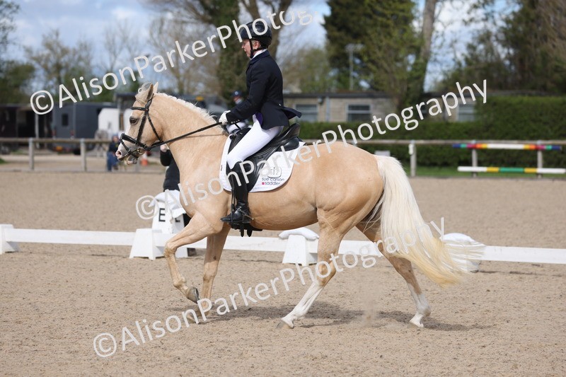 20260405-0217 - Class 3 - Novice 5