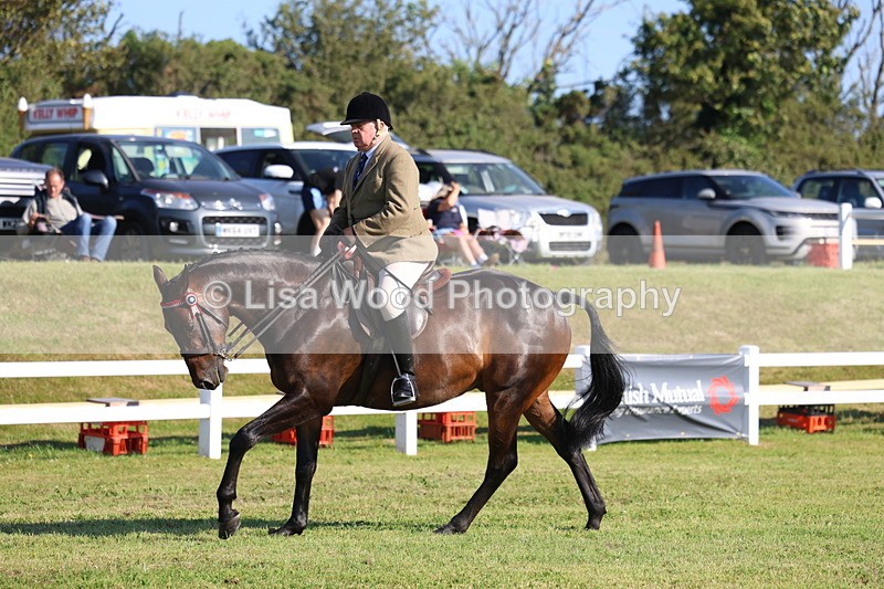 3E7A5452 - Class 2: Rising Star Large Hack/Riding Horse