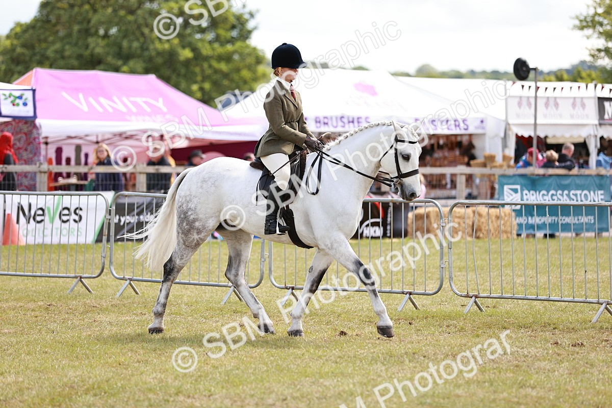 SBM_14506 - Class 88-89 - LIHS BSHA Rising Star of Ridden Hunter Type