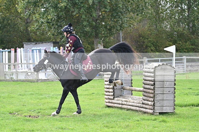 WJ7_8364 - 60cm Pairs