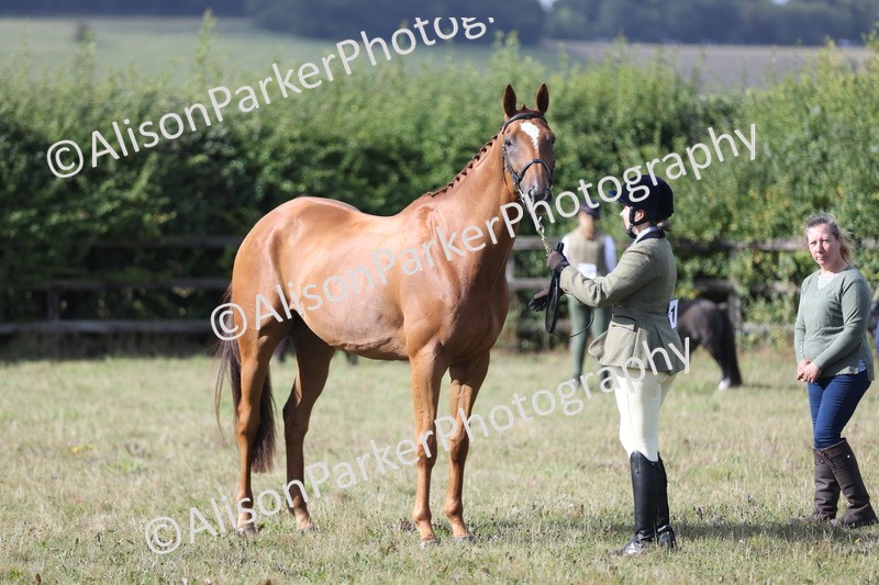 20250831-1413 - Class 21 - Inhand Open