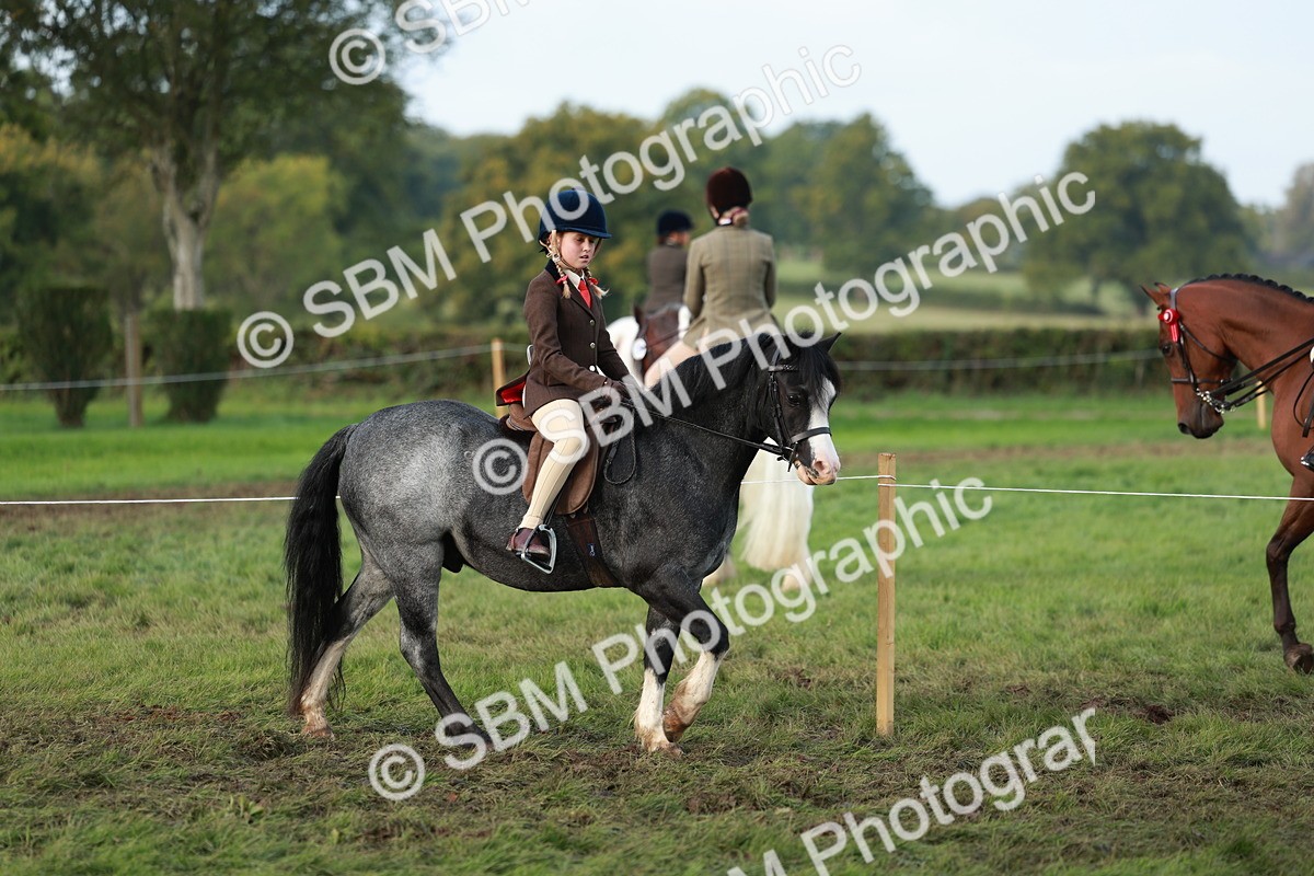 SBM_56275 - S39 - Starters In Hand Showing