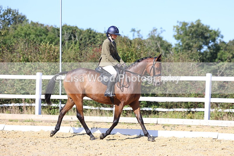 3E7A5680 - Class 10: Riding Horse