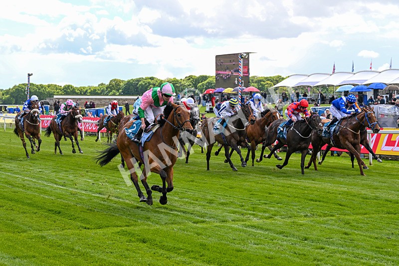 140526-Race 2-Jakajaro-4591 - Race 2 2.20pm Lindum York Handicap