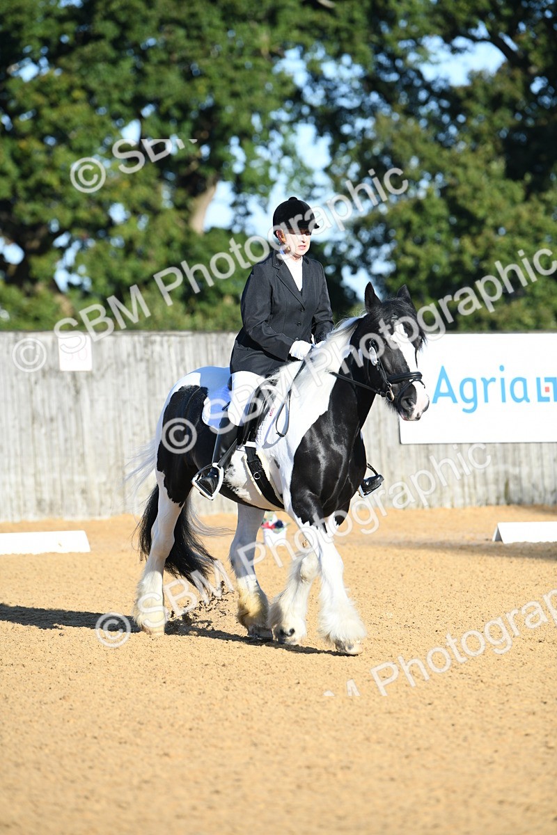 SBM_14425 - D4 - Small Tour Championship - Intro B