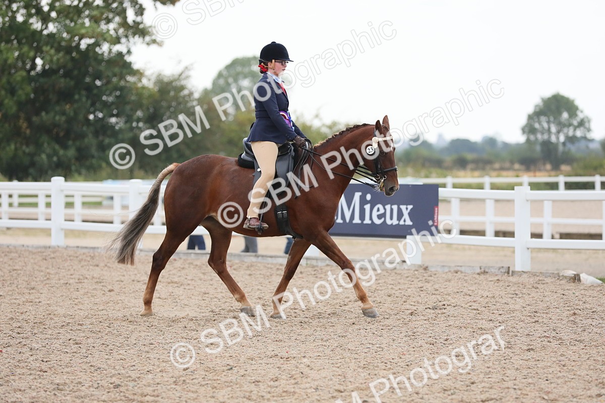 SBM_18271 - Class 316 Best Pony/Rider Combination
