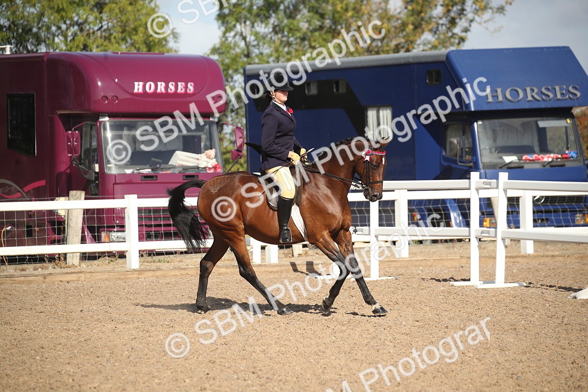 SBM_22777 - Class 602 - 2026 Area - Ridden Veteran