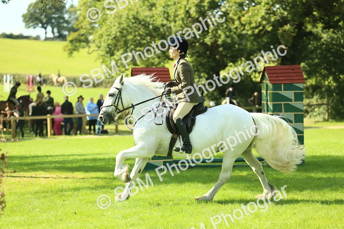 SBM_41995 - S29 - Novice & Newcomers Working Hunter Pony