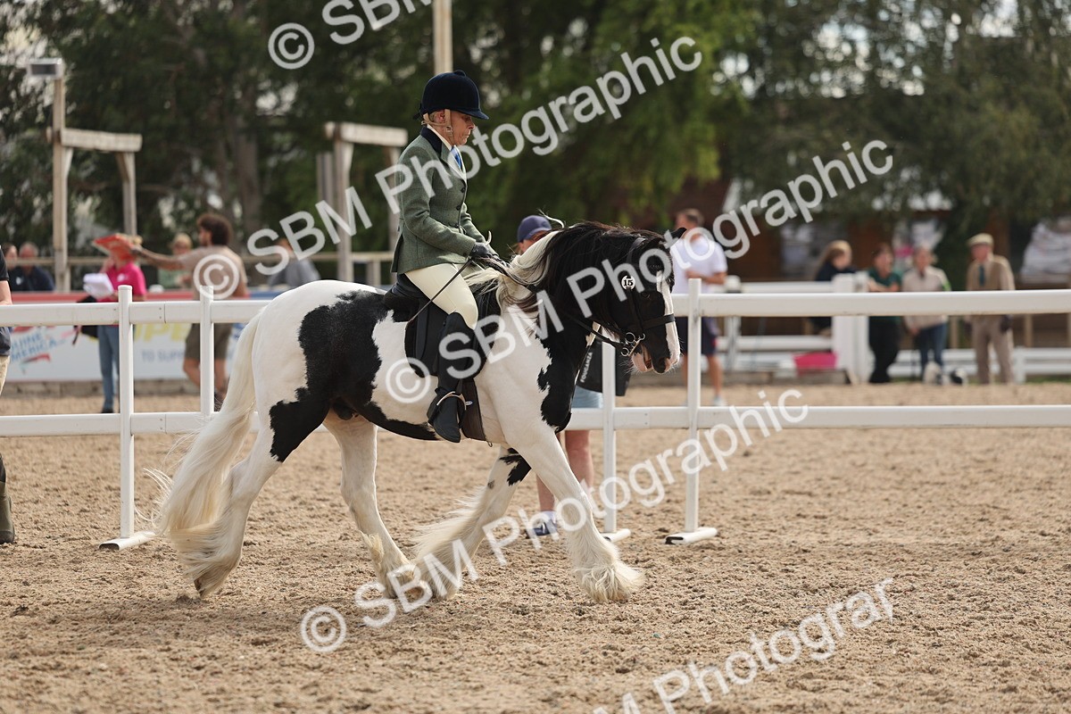SBM_14625 - Class 307 - Ridden Coloured Pony