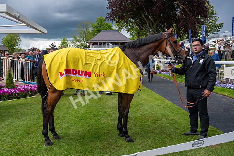 140526-Race 2-Jakajaro-1152 - Race 2 2.20pm Lindum York Handicap
