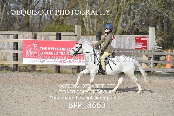 BPP_8663 - TRAINING STAKES