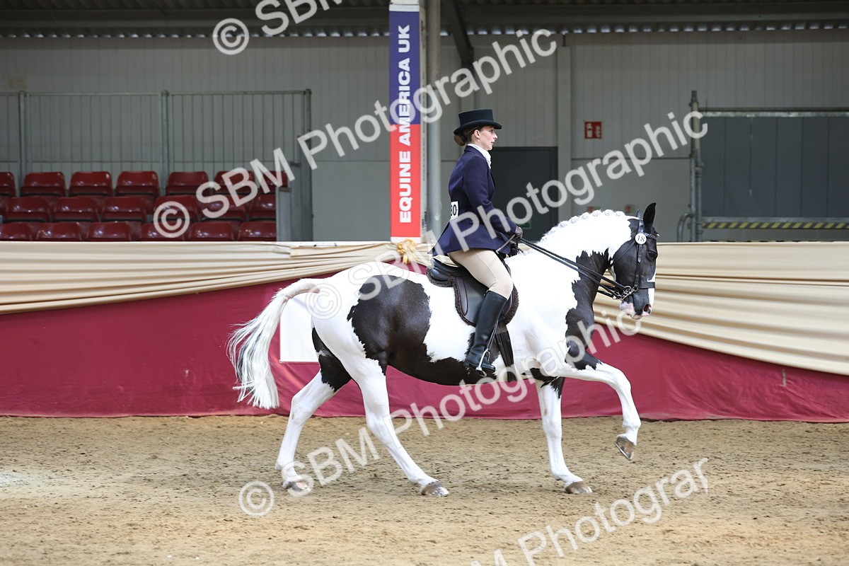 SBM_23746 - class 906 - Supreme Final - Ridden Pre Vet