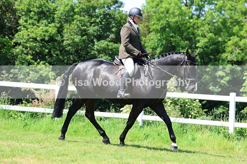 3E7A7152 - Class 30: Novice Working Hunter