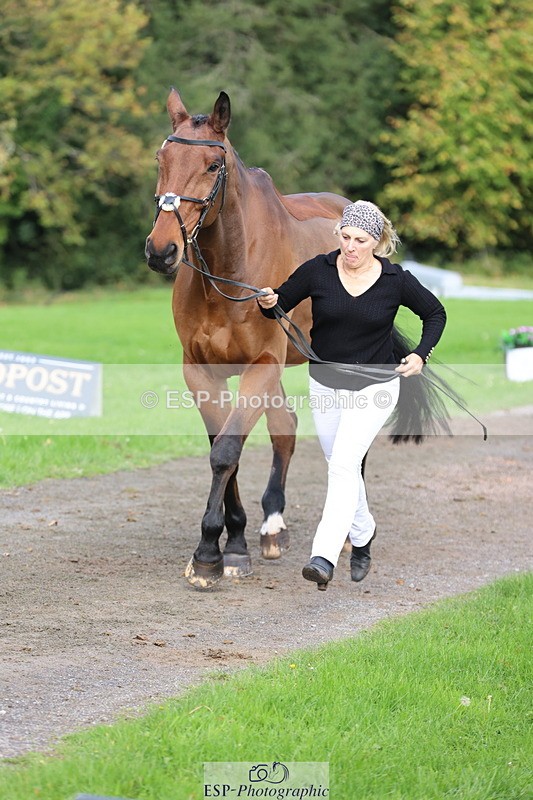 251026A-114906-25699 - G-514-Carolyn.Price With Trot Up
