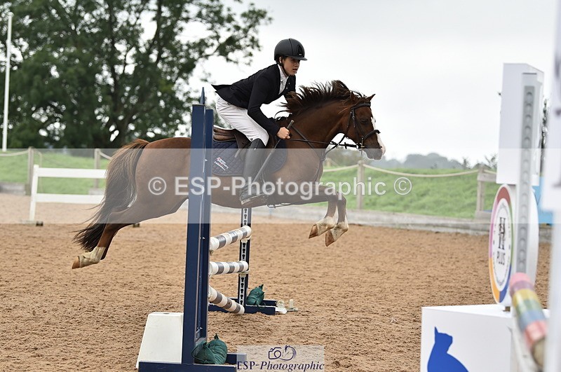 230902A-113902-00785 - Cls 2B Pony Small 80cm