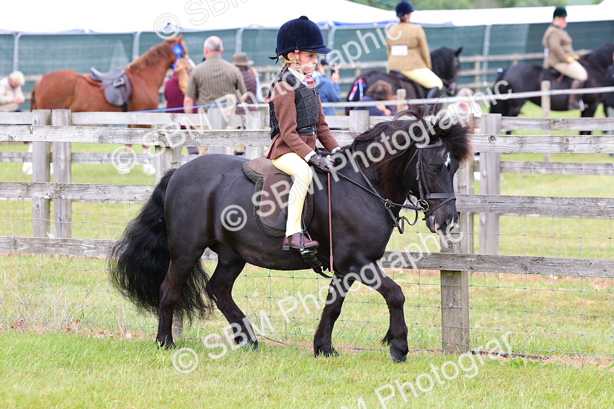 SBM_08495 - Class 42-43 - LIHS BSPS Heritage Working Sports Pony