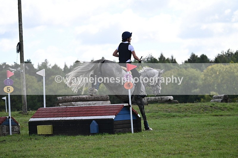 WJ7_0319 - Time 11:36 to 12:00