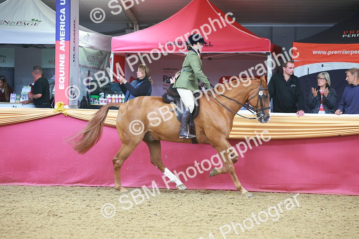 SBM_09627 - Class 102 - HOYS Veteran Qualifier - Ridden Veteran