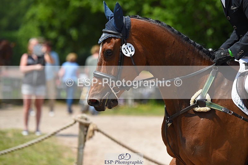 230528-121430-15602 - 312-J'ADORE_SALSA-Michael_Owen-SUNTrotUp+SJ