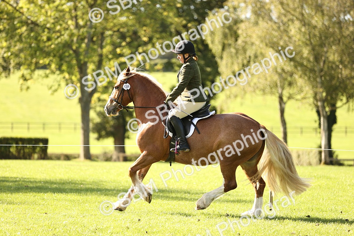 SBM_16956 - S2 - TSR Ridden Pony Showing