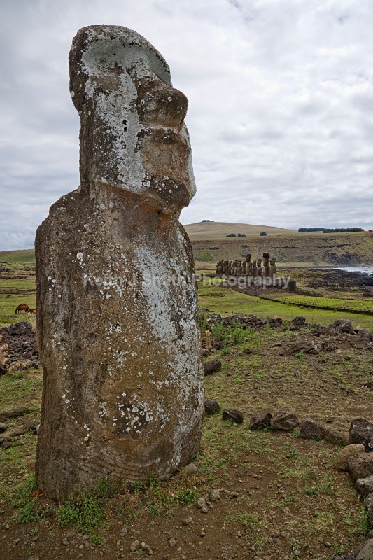 YR6M0158 - Worldwide