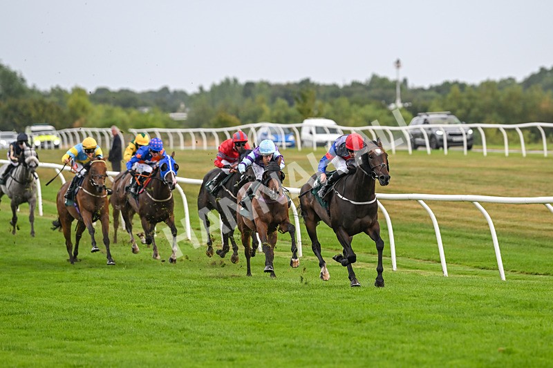 270825-Race 3-Quercus-5011 - Race 3