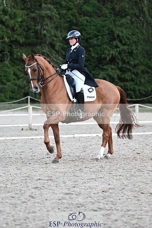 231110-164004-02720 - Cls 14 FEI Grand Prix