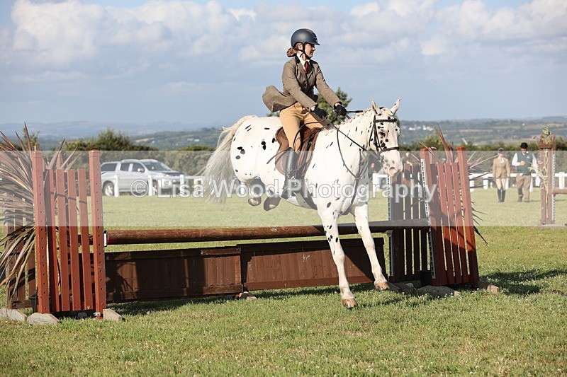 JPP_3159 - Class 21: Working Hunter 80cm