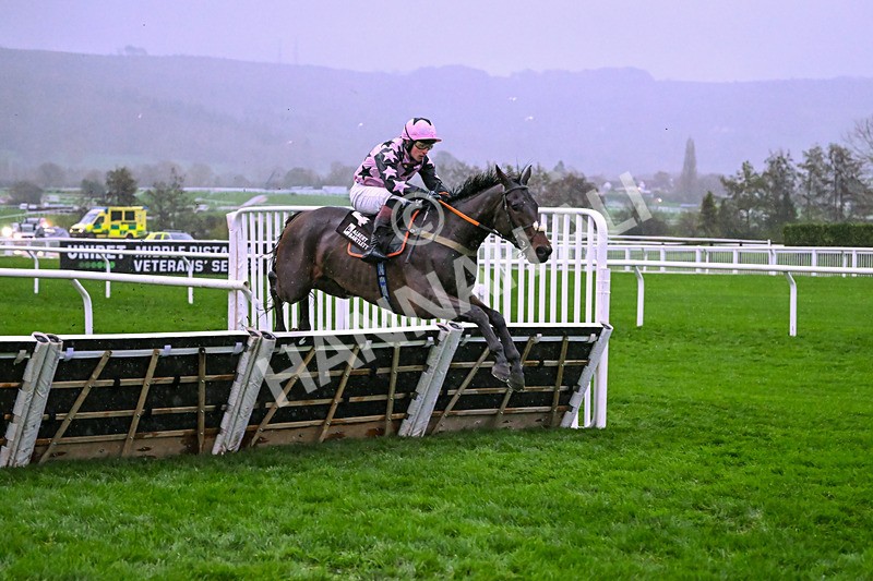 141125-Race 5-Heads Up-0947 - Race 5