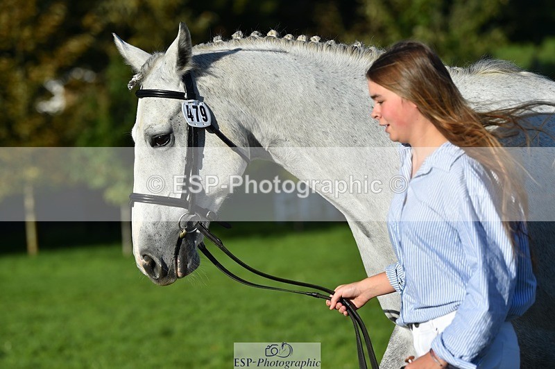 231022-101226-22308 - 479-CRUISING.STARLIGHT-Ava.Mae.West-TrotUp+SJ