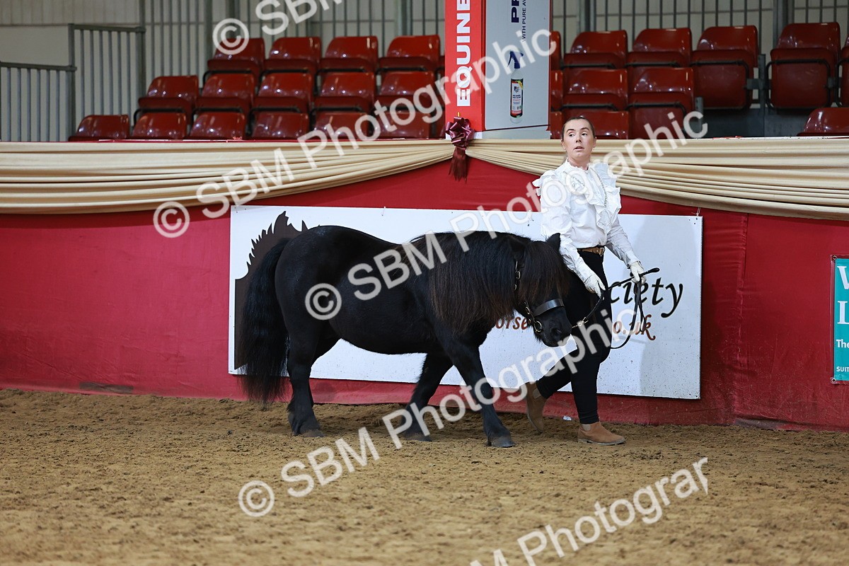 SBM_18397 - Class 903 - Sup Final - IH Pre Vet