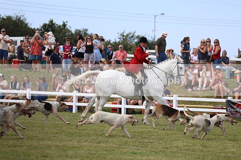 3E7A0236 - Parade of Hounds