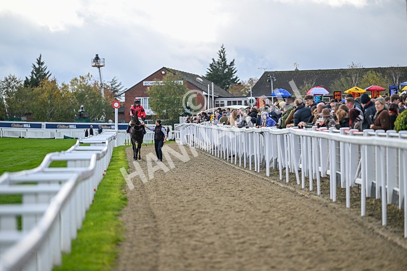 251025-Race 2-Conman John-7832 - Race 2
