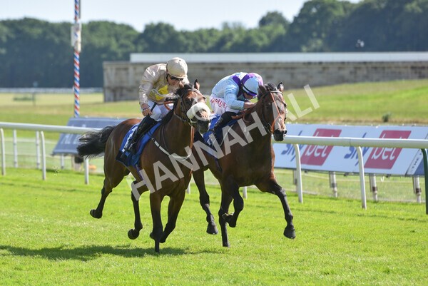 yr12062021r5-18 - Race 5 4.15pm Reg Griffin Appreciation EBFstallions.com Maiden Stakes