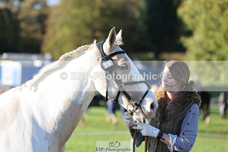 241027-091600-15169 - 465-Clare.Pascoe-MR.QUINN