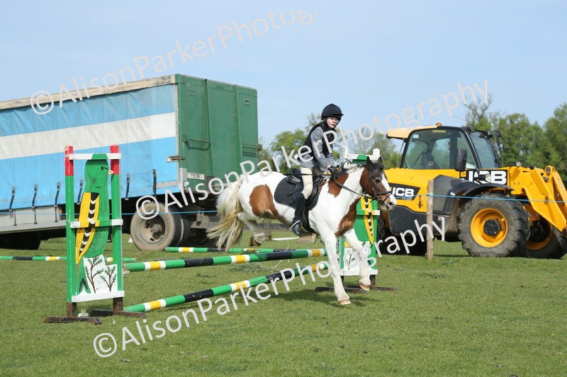 20260426-1558 - Class 14 - Novice 60cm