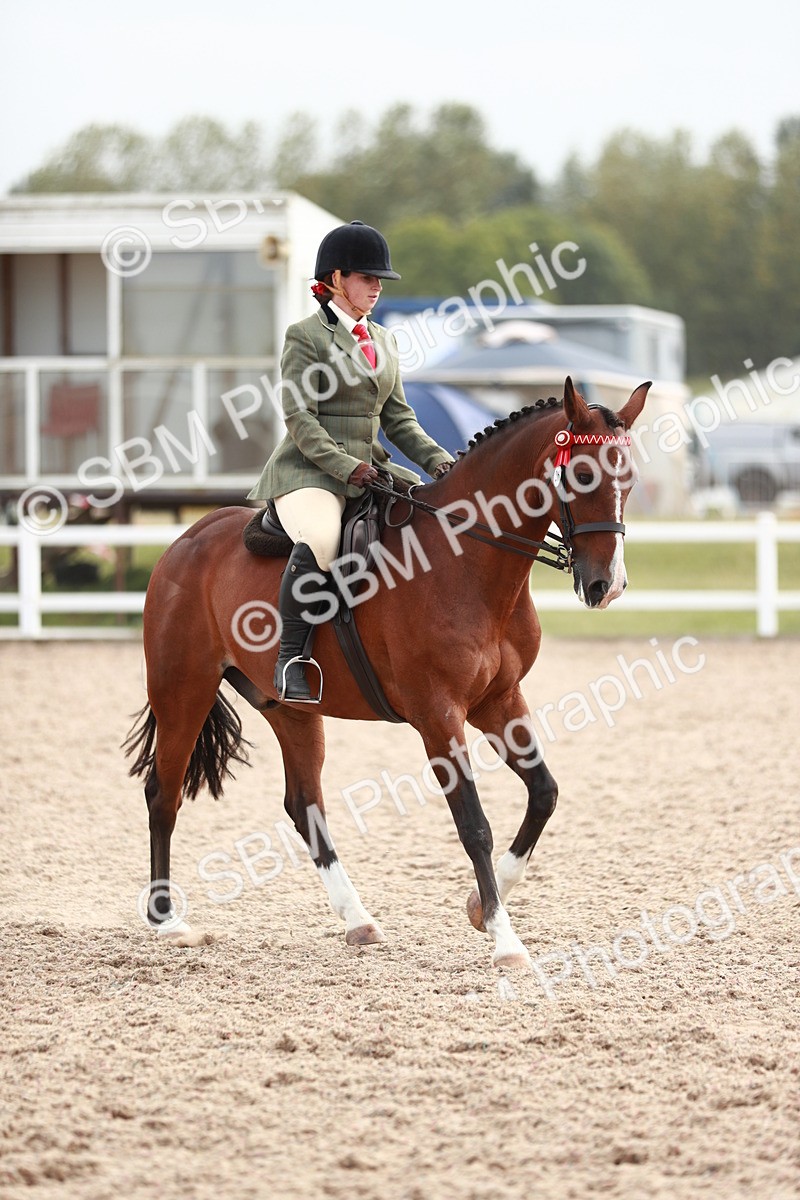 SBM_17589 - Class 215 Ridden Hack/ Riding Horse