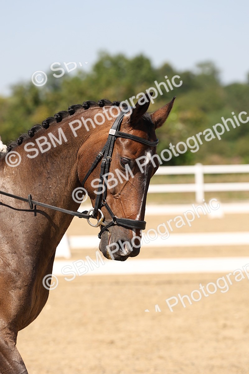 SBM_005769 - Prelim 4 - 13.34-15.39