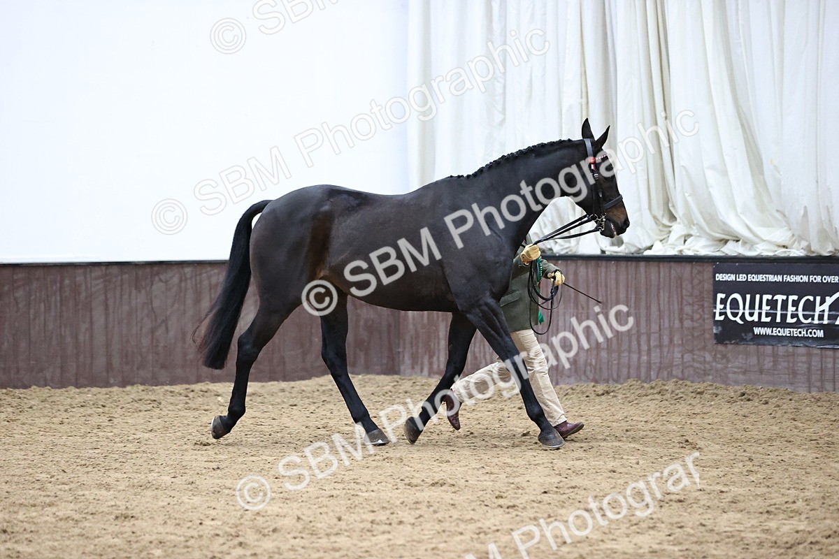 SBM_5819 - Class 4 - ROR Open In Hand