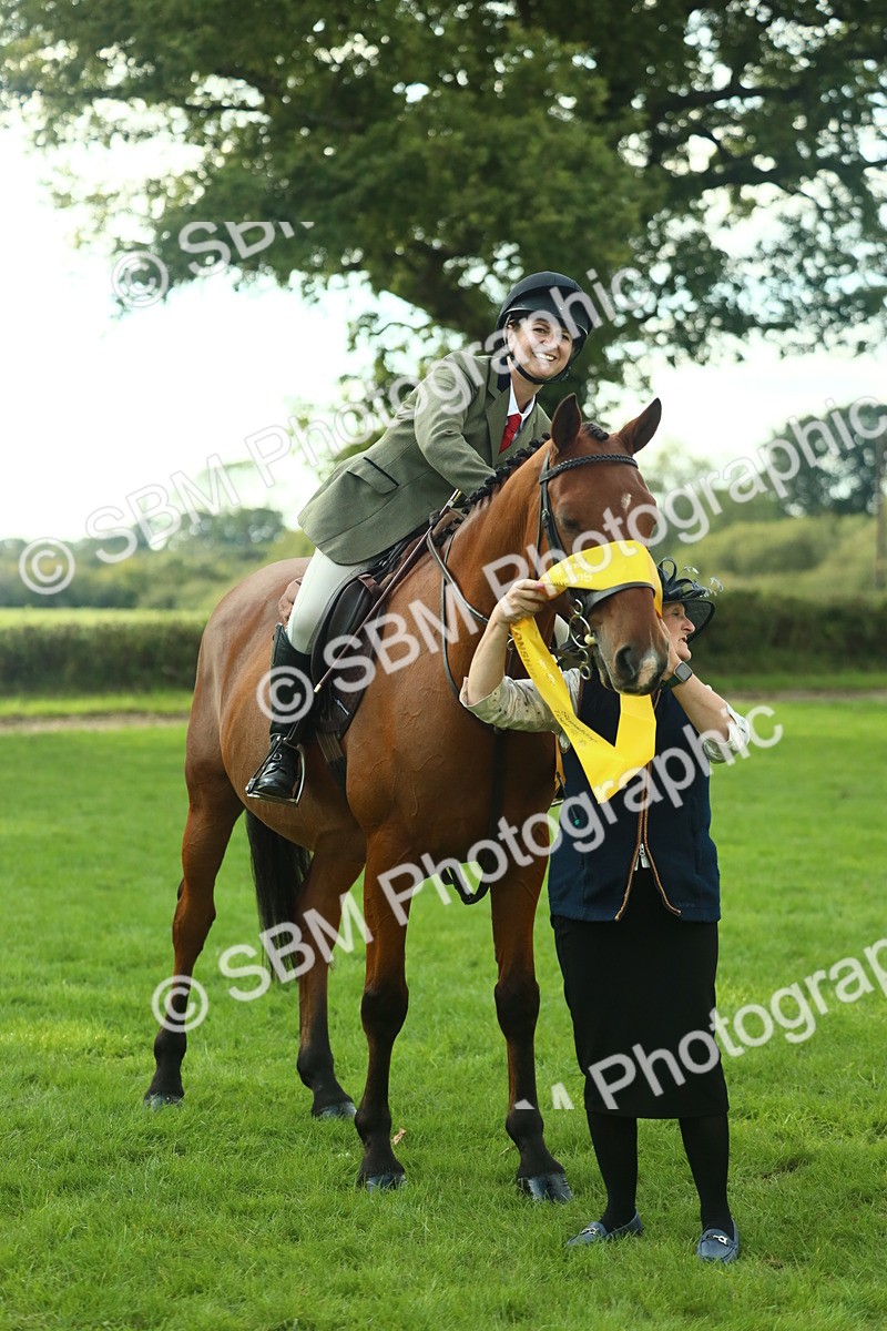 SBM_52206 - S33 - Working Hunter & Working Show Horse