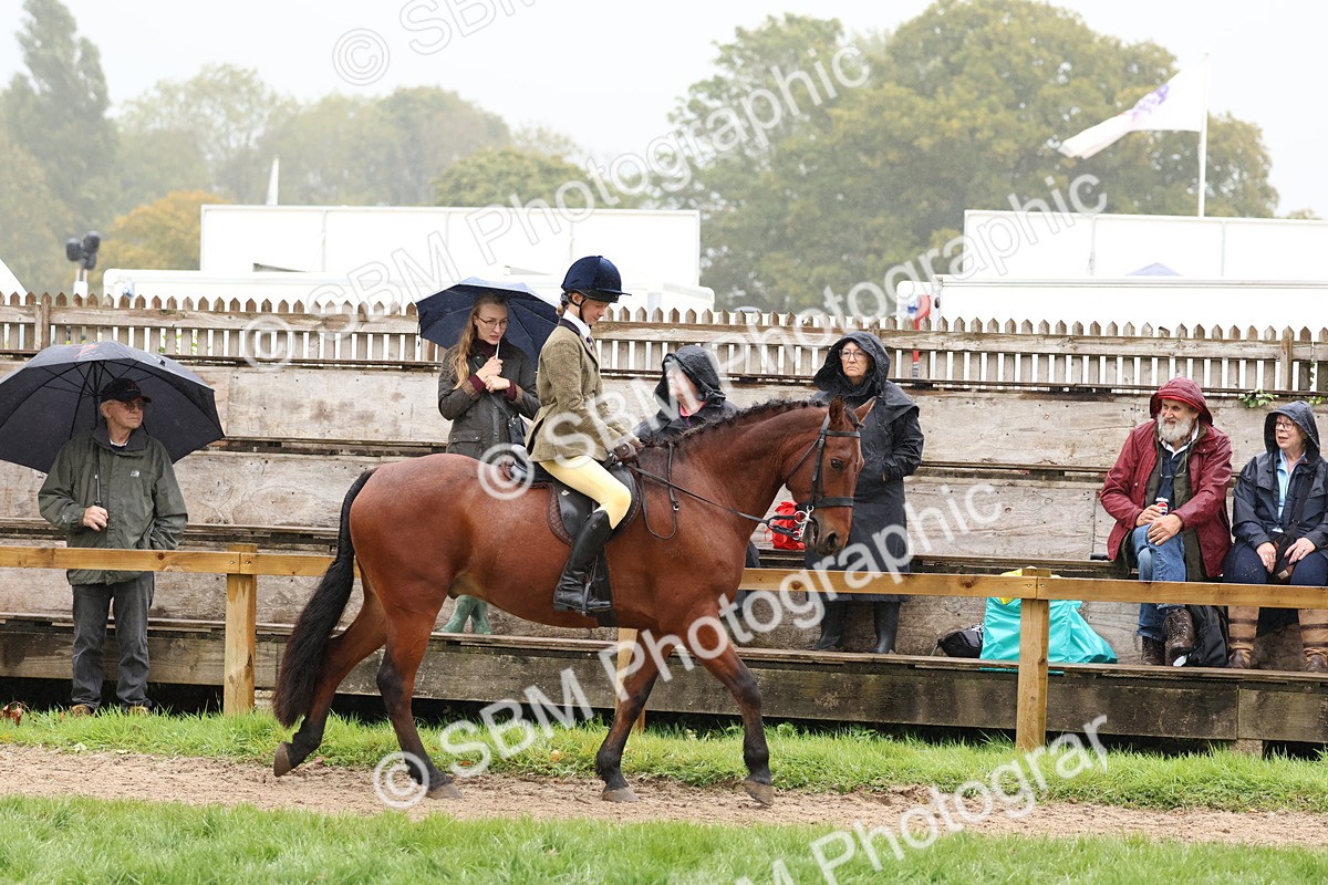 SBM_72983 - S63 Show Pony & Show Hunter Pony Ridden