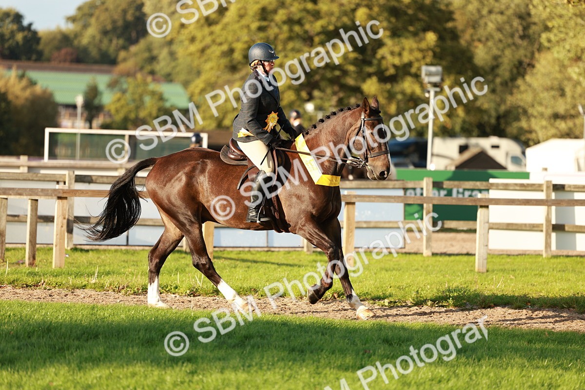 SBM_29316 - Novice & newcomer Supreme Championship