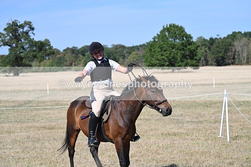 WJ7_1768 - Class 42 Most Handsome Gelding