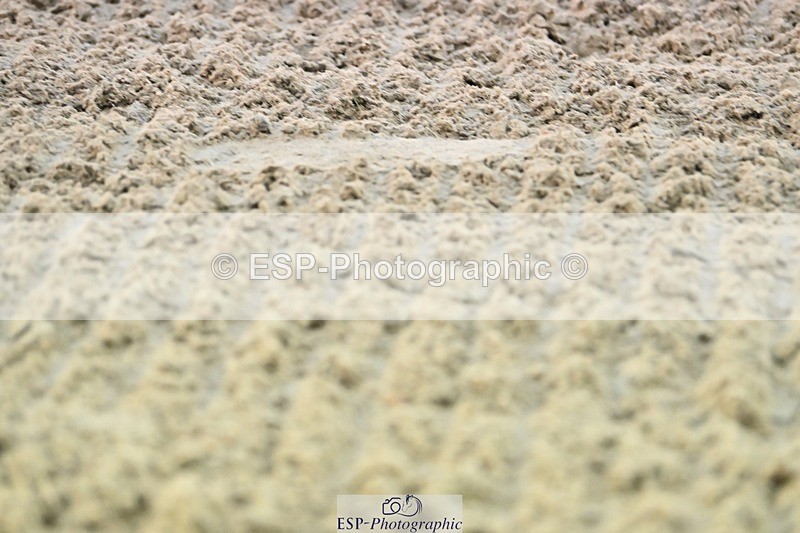 241103-163550-03380 - Novice 1 - 16.18 to 17.50