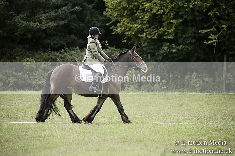 BVR080918 104 - BVRC Novice Dressage & CR 08/09/18