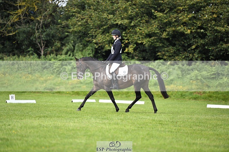 230826-103743-15539 - Sections C & D 10 to End