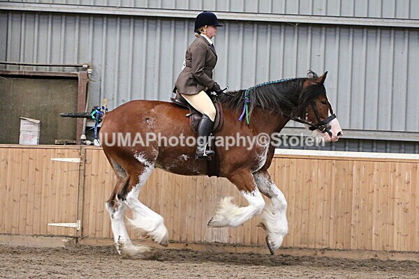 SIAL2460 - Sunday 14th Ridden