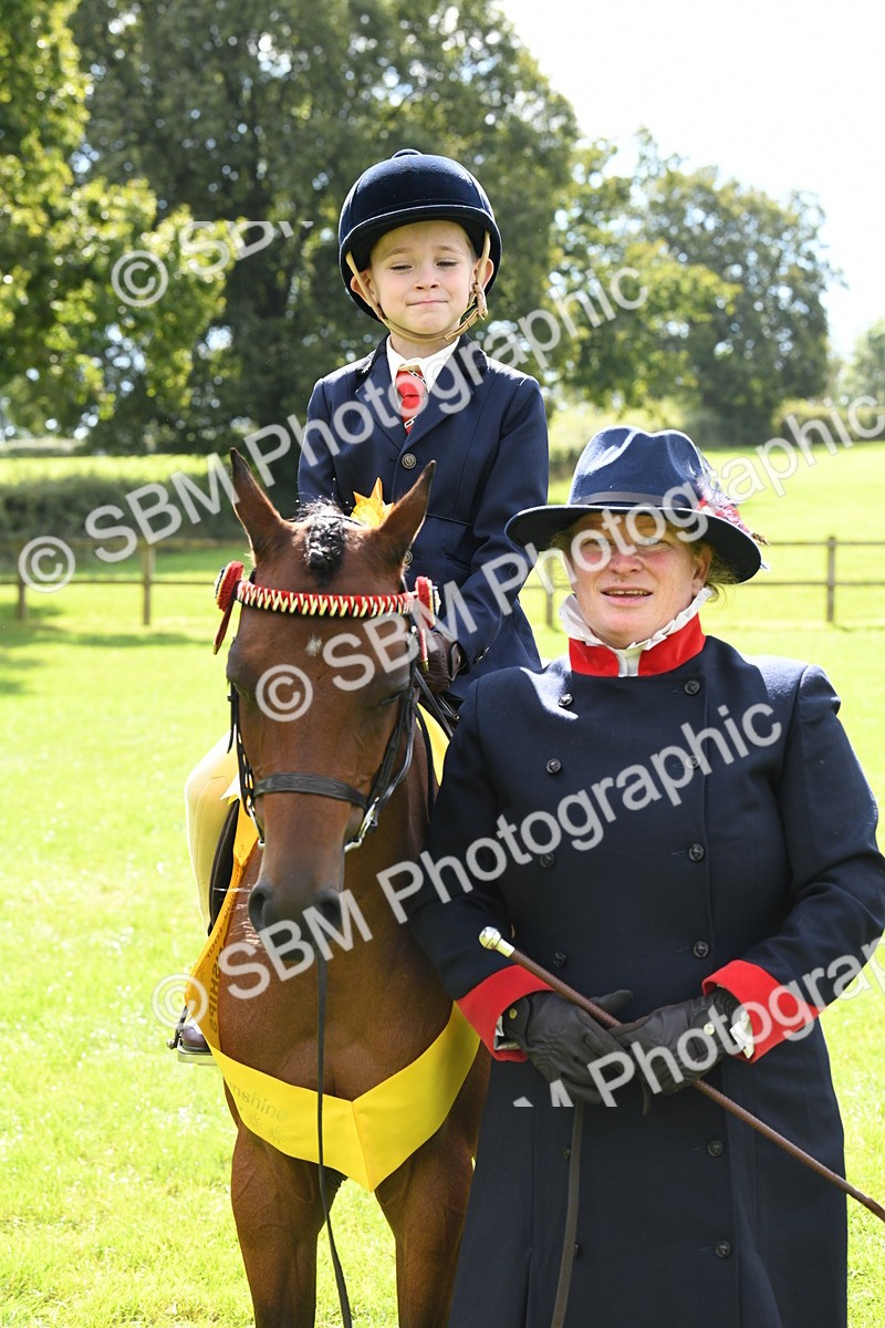 SBM_41254 - S19 - Lead Rein Show & Show Hunter Pony