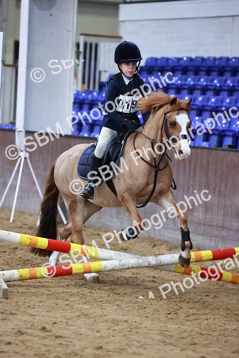 SBM_000610 - Class 2 - 50cm