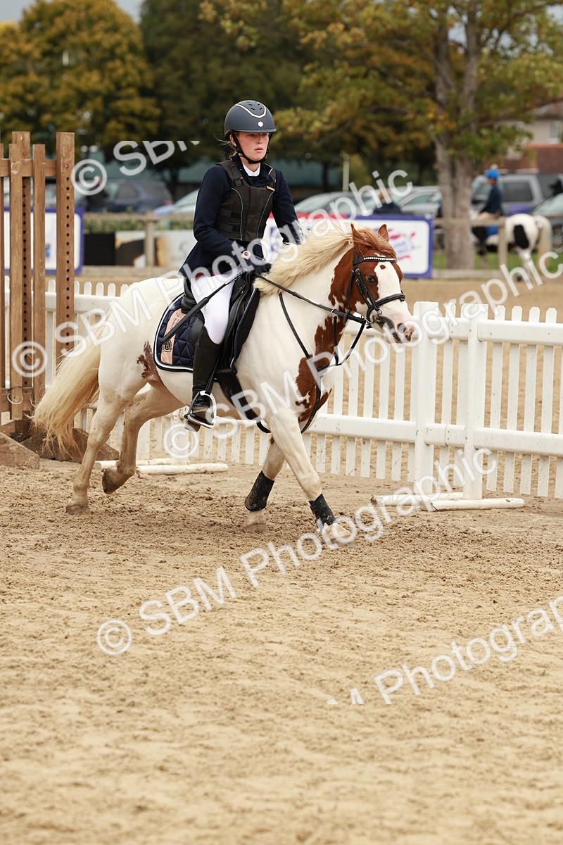 SBM_67009 - J13 - Junior Pony 60cm Championship
